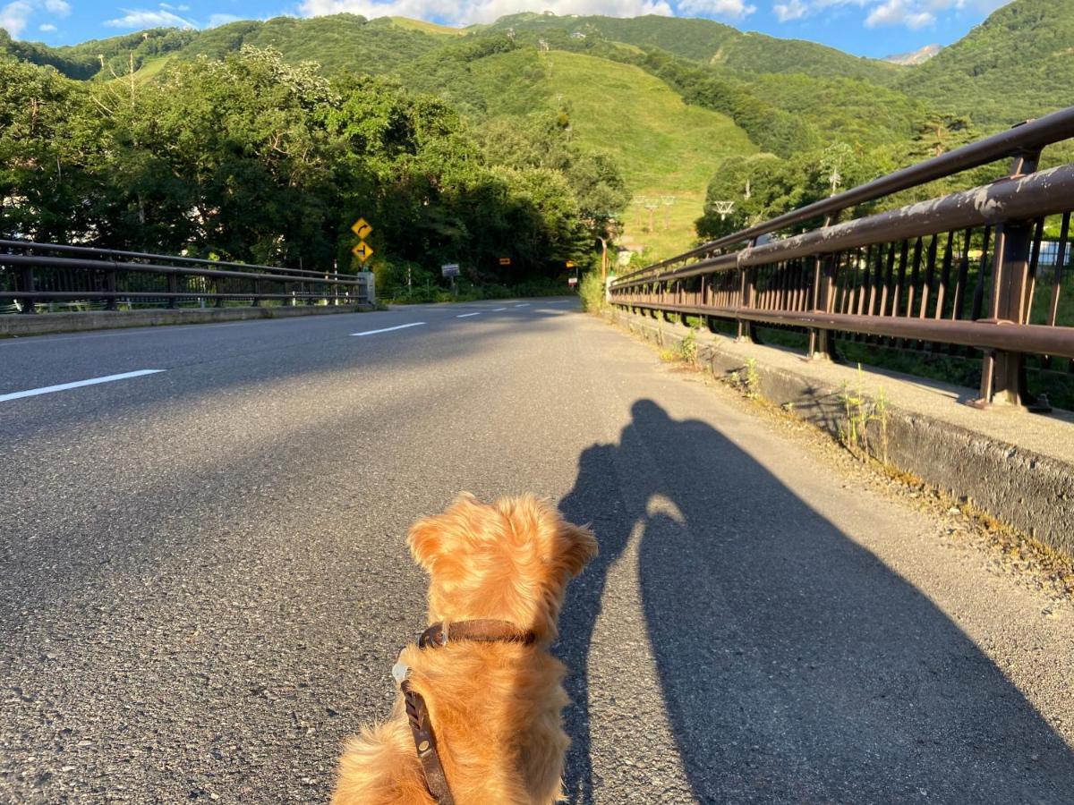 白馬パウダーマウンテン Hotel Hakuba Exterior photo