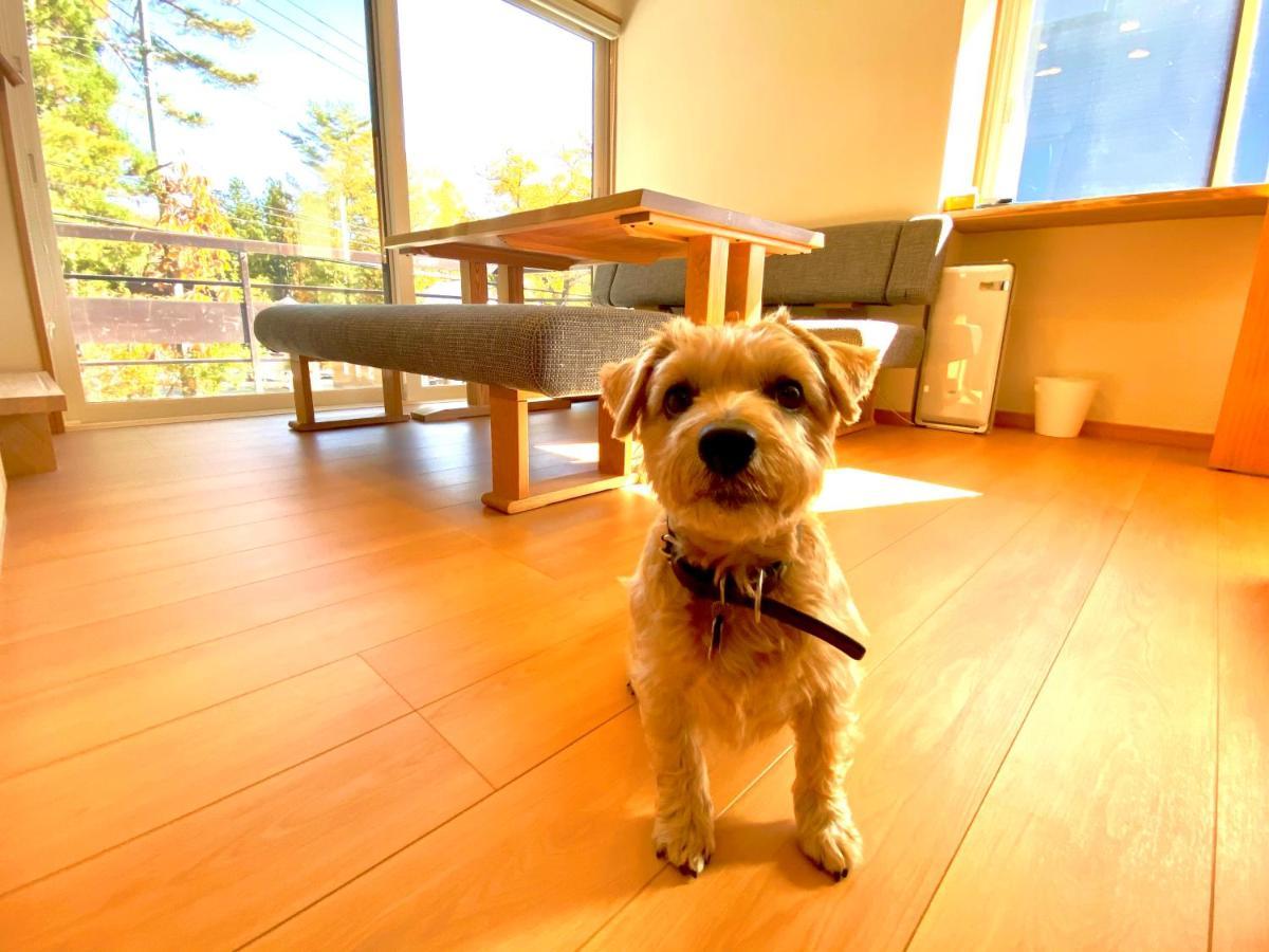 白馬パウダーマウンテン Hotel Hakuba Exterior photo