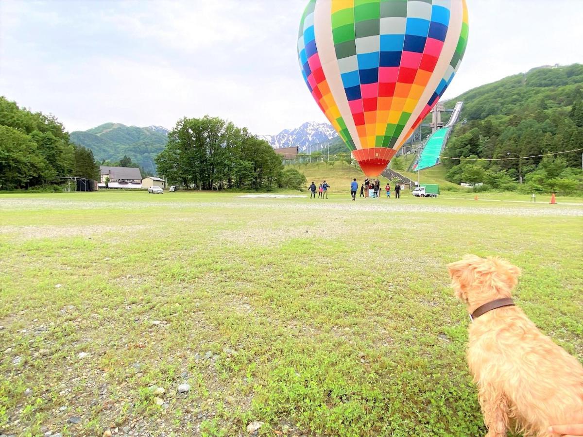 白馬パウダーマウンテン Hotel Hakuba Exterior photo