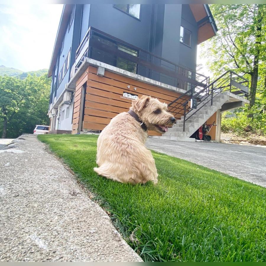 白馬パウダーマウンテン Hotel Hakuba Exterior photo