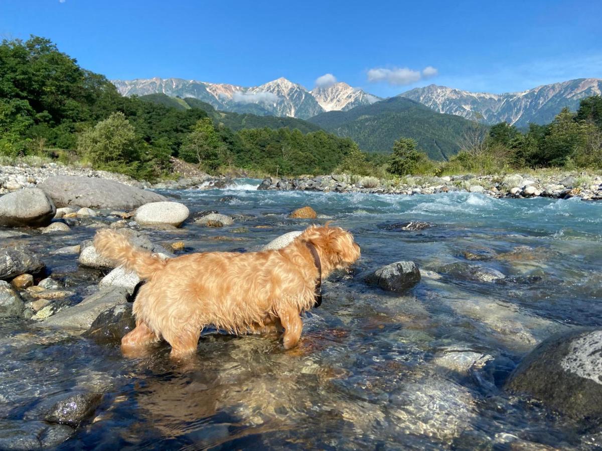 白馬パウダーマウンテン Hotel Hakuba Exterior photo